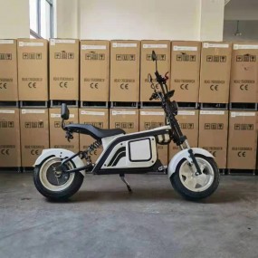 Elektro Motorrad Elektro Roller Elektromotorräder Elekt...